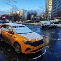 Предзимье в городе (фотодневник не юного натуралиста) :: Андрей Лукьянов