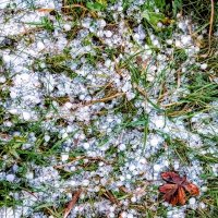 Град на траве :: Veera V Град на траве :: Veera V