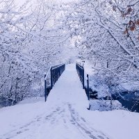 Начало зимы :: Сергей Кочнев