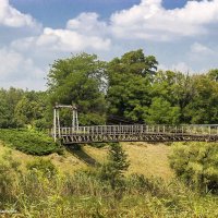 Природа :: Светлана Ищенко