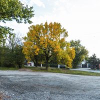 Природа  Крыма :: Валентин Семчишин