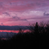 Розовое утро :: Людмила Смородинская