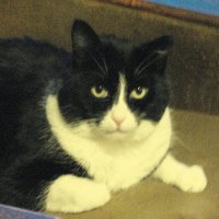 Всем привет! :: Людмила Смородинская