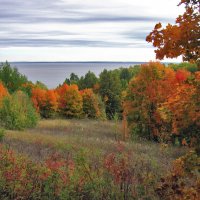 Клены над Камой :: **** vedin Клены над Камой :: **** vedin