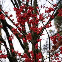 Осень :: Валерий Пославский