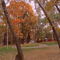 Осень. :: Владимир Драгунский