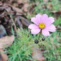 ,,, :: Сергей Тимоновский