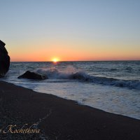 Природа Крыма :: Amazing Cosmea
