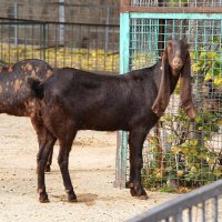 В парке Тайган :: Татьяна Тюменка