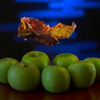 Последний лист... :: Владимир 