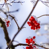 **** :: Анатолий Портнов