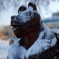 Медведь :: Радмир Арсеньев Медведь :: Радмир Арсеньев