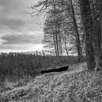 Осень у озера. :: Николай Осень у озера. :: Николай