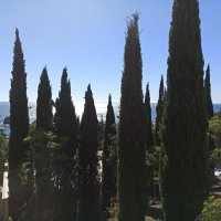 Бархатный сезон. Крым. :: Галина 