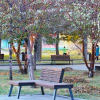 Осень.. :: Василий 