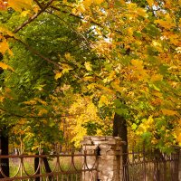 Осенняя природа :: Александр Синдерёв