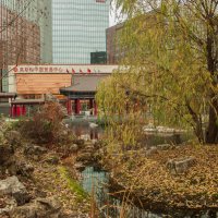 Китайский сад Цзыюнь. :: Николай 