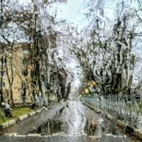 Непогода. :: Михаил Столяров