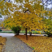 Картинки осени! :: Надежда Картинки осени! :: Надежда