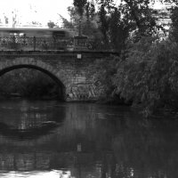 Александровский мост :: Сергей Сергеев