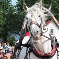 позирует :: Олег Лукьянов позирует :: Олег Лукьянов
