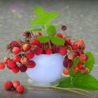 Вкусный букетик. :: nadyasilyuk Вознюк Вкусный букетик. :: nadyasilyuk Вознюк