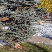 Нарядили ёлочку :: Валерий Иванович