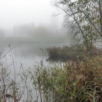 *** :: Владимир Безбородов