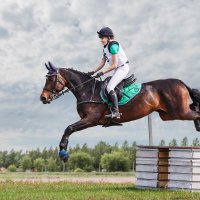 Кросс :: SanSan 