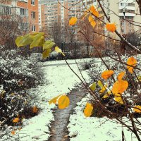 Встреча осени и зимы! :: Татьяна Помогалова