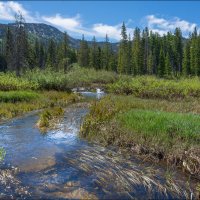 Ручей :: **** vedin