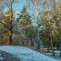 Первый снег. :: Николай 