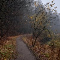 **** :: Елизавета .