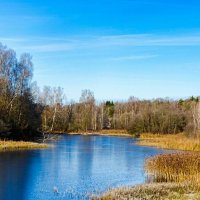 Смоленская область в середине ноября. :: Милешкин Владимир Алексеевич 