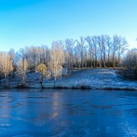 Картинка ноября. :: Милешкин Владимир Алексеевич Картинка ноября. :: Милешкин Владимир Алексеевич