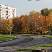 ОСЕННИЙ ГОРОДСКОЙ ПЕЙЗАЖ :: Валентина 