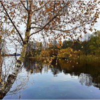 Ноябрь. :: Валерия Комова