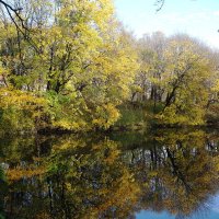 Картинки ноября :: Рита Симонова