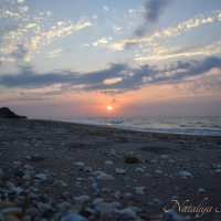 Природа Крыма :: Amazing Cosmea