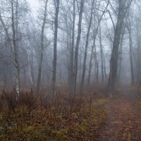 Туманное послание :: Александр Синдерёв