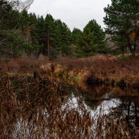 река :: Serega Alucard X2