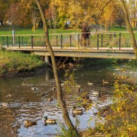 Осенний Сюжет :: юрий поляков Осенний Сюжет :: юрий поляков