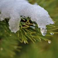 15 ноября :: Светлана 15 ноября :: Светлана