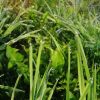 Утром :: PRP Утром :: PRP