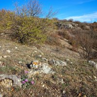 тёплый ноябрь :: Всеволод 