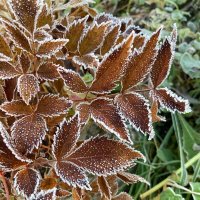 По контуру :: Ольга Савельева 