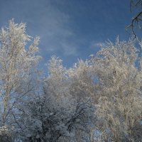 Зима :: Anna Ivanova