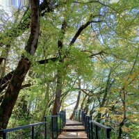 Адлер. Скайпарк :: Нина Бутко