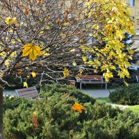 Середина ноября :: Татьяна Львова