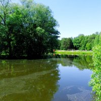 Шибаевский пруд :: Игорь Белоногов